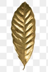 Shiny gold leaf transparent png