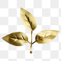 Shiny golden leaves transparent png