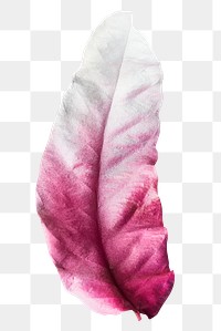 Leaf painted in magenta and white design element