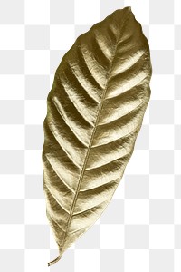 Leaf painted in gold design element