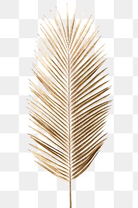 Areca palm leaf painted in gold design element