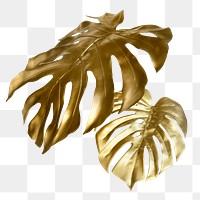 Shiny golden monstera leaves transparent png