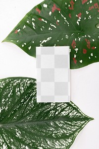 Name card png mockup on green leaves