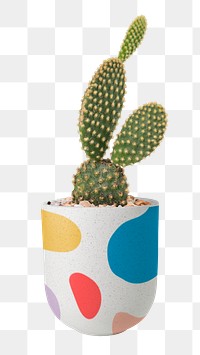 Bunny ears cactus png mockup in a pot