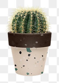 Golden barrel cactus png mockup in a terrazzo pot