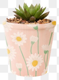 Succulent plant png mockup in a cute pot