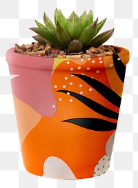 Succulent plant png mockup in a cute pot