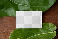 Name card png mockup on green leaves