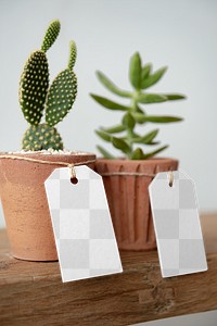 Paper tag png mockup on cute cactus pots