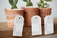 Paper tag png mockup on cute cactus pots