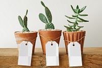 Paper tag png mockup on cute cactus pots