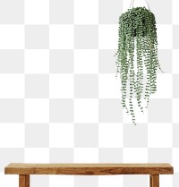 Angel vine png mockup with wooden bench