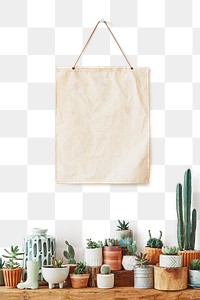 Rustic shelf png mockup with mixed cacti and succulents