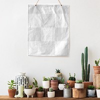 Canvas poster png hanging over a shelf full of cacti and succulents 