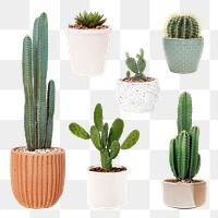 Mixed houseplant png mockup set