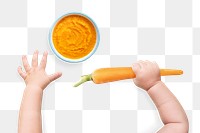 Baby hands png cut out, holding a carrot