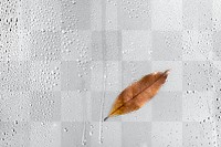 Rain water png texture, Autumn leaf in transparent background