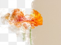 Rose png background, abstract smoke texture in aesthetic design