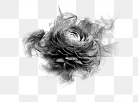 Flower png smoke element, textured abstract graphic