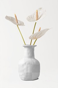Vase mockup png, white laceleaf flower