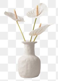 White laceleaf flower png element sticker, vase on transparent background