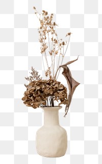 Dried flower png element, sticker on transparent background