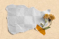 Crumpled paper png mockup, botanical design on transparent background