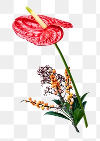 PNG red flower bouquet sticker