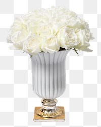 PNG white roses in vase, isolated object