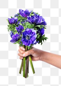 Anemone bouquet png, held by hand, collage element