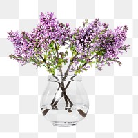 Lilac png, glass vase, isolated object, collage element design