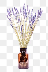 Lavender in vase png, isolated object, collage element design