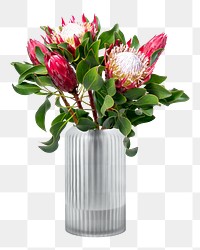 PNG king proteas bouquet, isolated object, collage element design