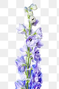 Purple delphinium png flower sticker