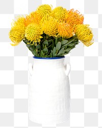 PNG yellow pincushion in white vase, isolated object, collage element design