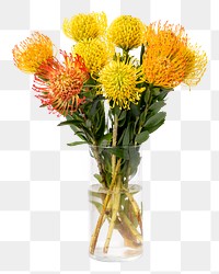 PNG pincushions in glass vase