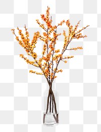 Yellow winterberry png, glass vase, isolated object, collage element design
