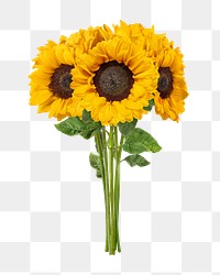 PNG blooming sunflower sticker, transparent background