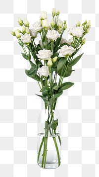 White lisianthus png, glass vase, isolated object, collage element design