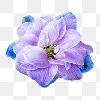 PNG purple delphinium flower sticker