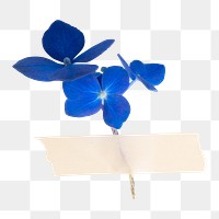 Blue hydrangea png, paper tape, collage element