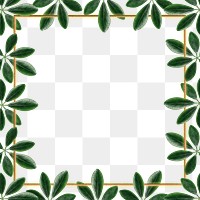 Green leaves with square frame design element