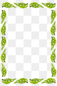 Green leaves rectangle frame design element