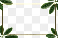 Green leaves with rectangle frame design element