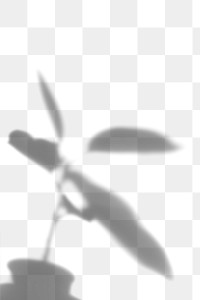 Shadow of plant design element