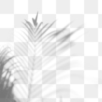 Shadow of palm leaves design element