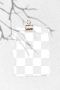 Blank postcard with twigs shadow on a wall design element