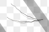 Black dried branch design element