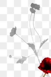 Shadow of plant and red flower design element