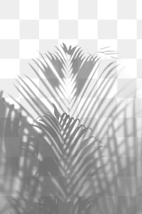 Blurred green palm leaves design element